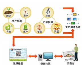 农产品质量追溯管理系统定制开发 打造数字化农业根基